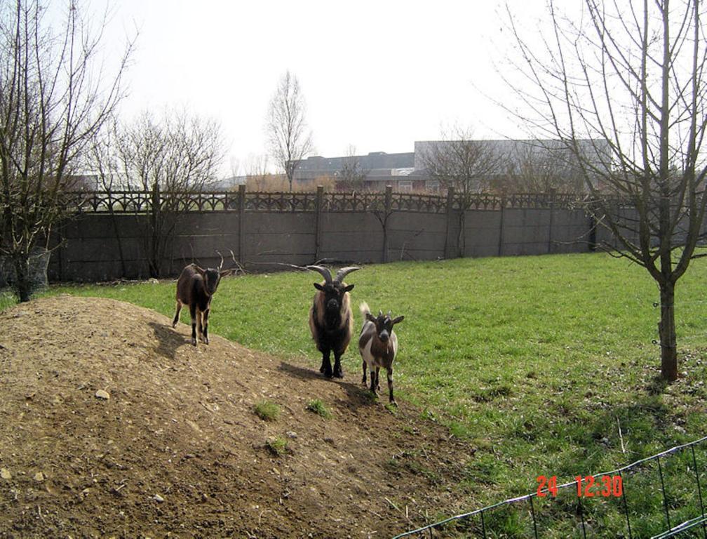Aux Plumes De Grigy Bed and Breakfast Metz Exterior foto